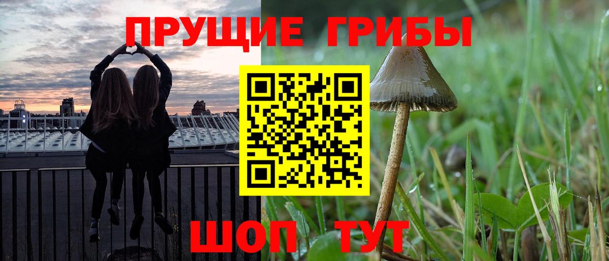 Галлюциногенные грибы MAGIC MUSHROOMS  Вход с VPN  Обнинск 